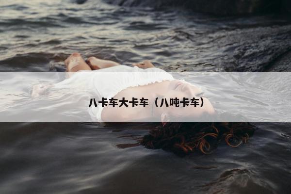八卡车大卡车（八吨卡车）
