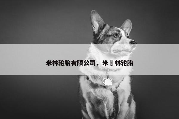 米林轮胎有限公司，米粸林轮胎