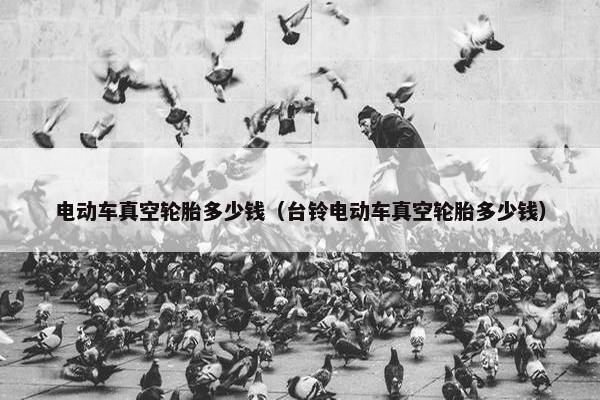 电动车真空轮胎多少钱（台铃电动车真空轮胎多少钱）