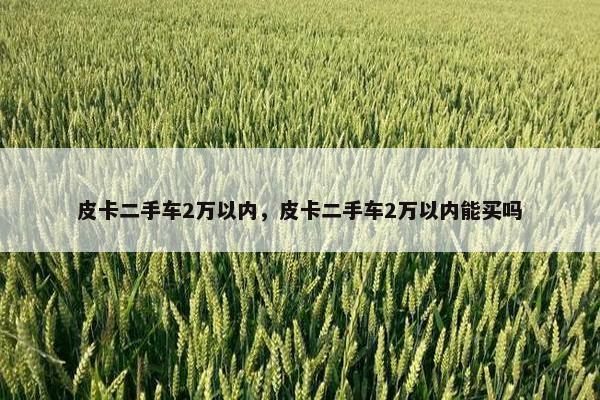 皮卡二手车2万以内，皮卡二手车2万以内能买吗