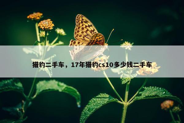 猎豹二手车，17年猎豹cs10多少钱二手车