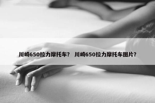 川崎650拉力摩托车？ 川崎650拉力摩托车图片？