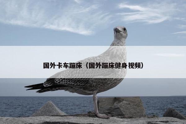 国外卡车蹦床（国外蹦床健身视频）