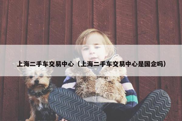 上海二手车交易中心（上海二手车交易中心是国企吗）