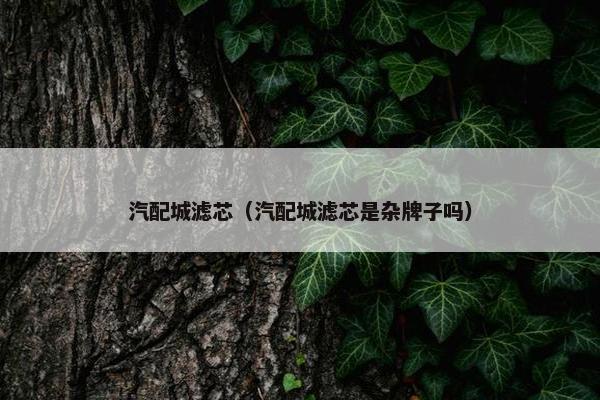 汽配城滤芯（汽配城滤芯是杂牌子吗）