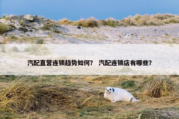 汽配直营连锁趋势如何？ 汽配连锁店有哪些？