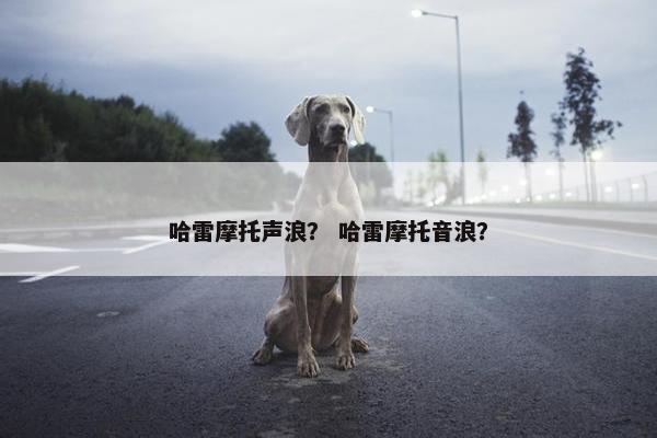 哈雷摩托声浪？ 哈雷摩托音浪？