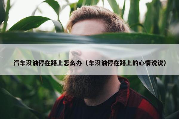 汽车没油停在路上怎么办（车没油停在路上的心情说说）