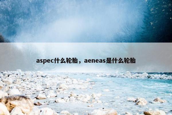 aspec什么轮胎，aeneas是什么轮胎