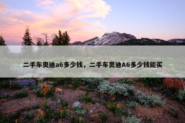 二手车奥迪a6多少钱，二手车奥迪A6多少钱能买