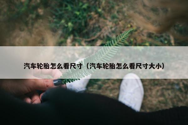 汽车轮胎怎么看尺寸（汽车轮胎怎么看尺寸大小）
