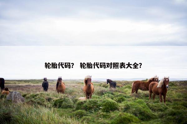 轮胎代码？ 轮胎代码对照表大全？