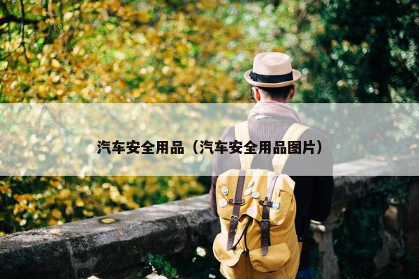 汽车安全用品（汽车安全用品图片）