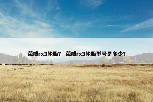 荣威rx3轮胎？ 荣威rx3轮胎型号是多少？