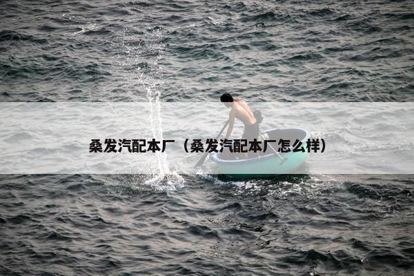 桑发汽配本厂（桑发汽配本厂怎么样）