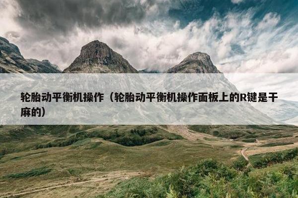 轮胎动平衡机操作（轮胎动平衡机操作面板上的R键是干麻的）