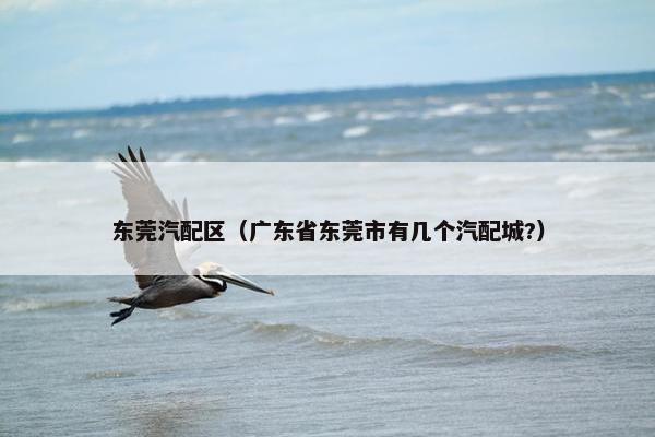 东莞汽配区（广东省东莞市有几个汽配城?）