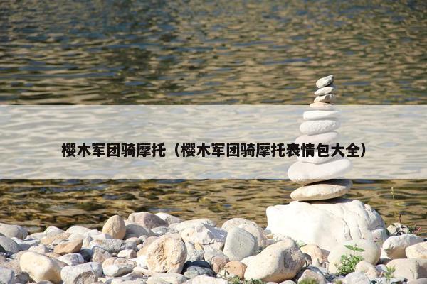 樱木军团骑摩托（樱木军团骑摩托表情包大全）