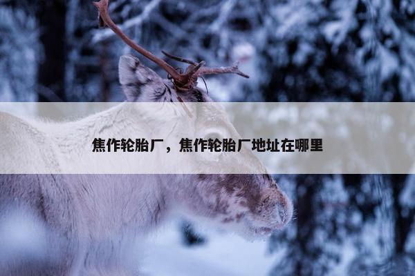 焦作轮胎厂，焦作轮胎厂地址在哪里