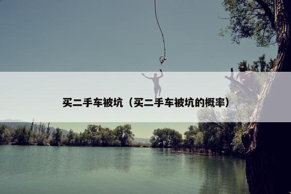 买二手车被坑（买二手车被坑的概率）