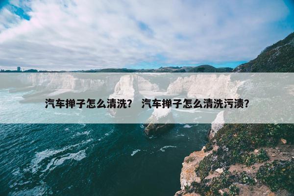 汽车掸子怎么清洗？ 汽车掸子怎么清洗污渍？