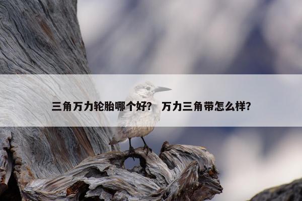 三角万力轮胎哪个好？ 万力三角带怎么样？