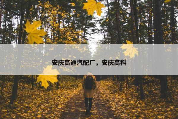 安庆高通汽配厂，安庆高科