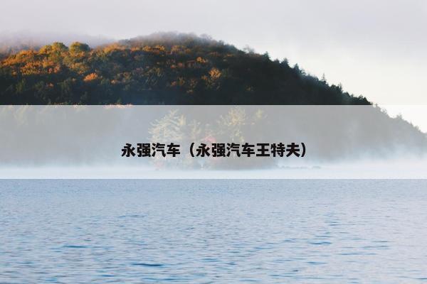 永强汽车（永强汽车王特夫）